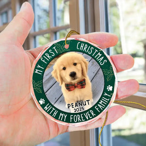 First Christmas With Family - Personalized Crystal Ornament - Gift For Pet Lovers