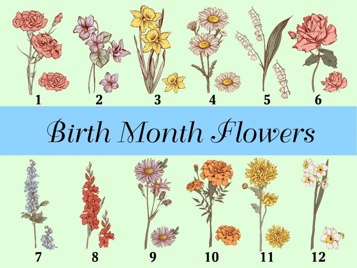 Personalized Stepmother Gift From Daughter, To My Bonus Mom Heart Acrylic Plaque, Mothers Day Gift, Birth Month Flower Gifts For Stepmom