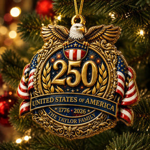 America 250 Decorations Anniversary - Real 3D Raised Ornament