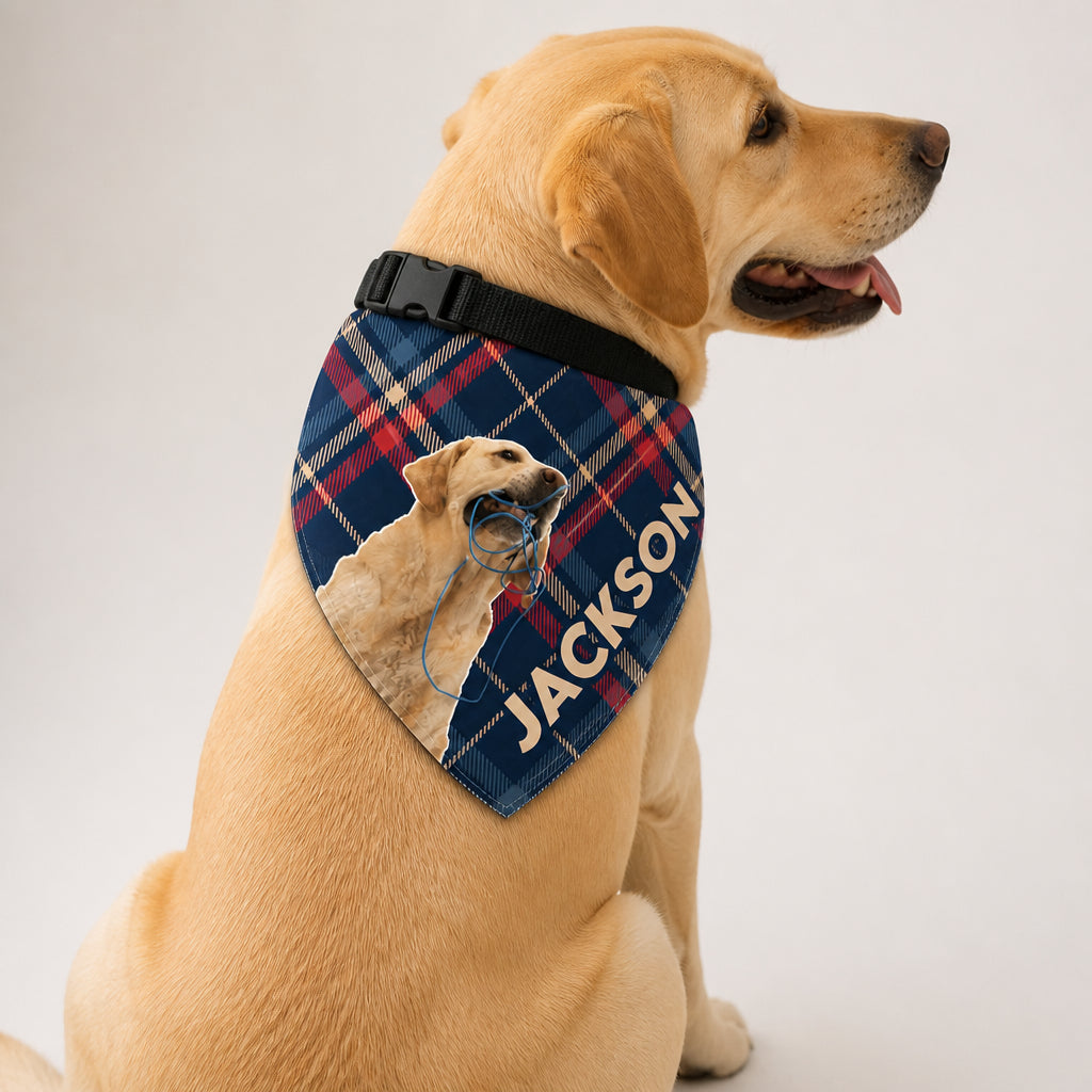 Custom Pet Photo Bandana – Paw Medallion Name Design - Personalized Pet Bandana Collar With Adjustable Buckle 4c53f1ac-8bcb-46db-9b3d-466fddcb7c8c.jpg