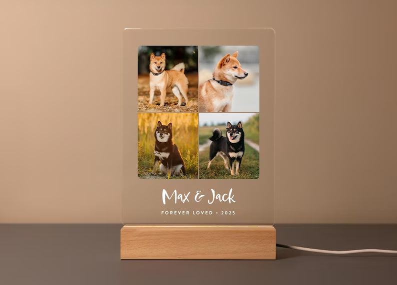 Personalized Pet Memorial LED Night Light — Custom Dog or Cat Photo Sympathy Gift 4ca478f6-0684-4629-9846-f9f9c4d8ac52-fssfsffs-2-.jpg