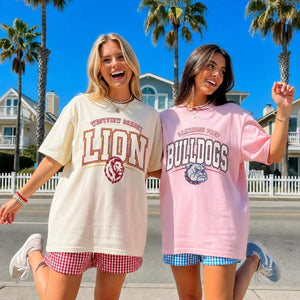 Comfort Colors Custom Mascot Striped Shirt, School Spirit Shirt, Back To School Tee, Custom Mascot Shirt, Test Day Shirt, School Spirit Tee 4e9b380f-3bcc-46e9-b032-116e1b9d6079-banner-4.jpg