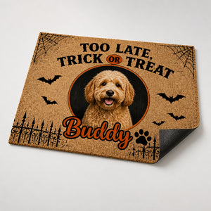 Halloween Trick or Treat Pet Photo Doormat - Personalized Doormat 4f021714-236d-4f1f-9ca8-5a385b83d7b8.jpg