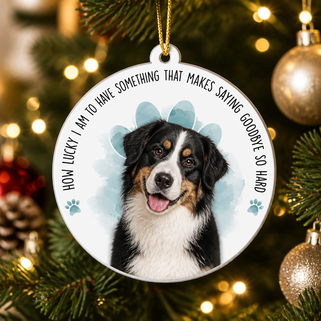 Pet Memorial Photo Ornament – "How Lucky I Am…" - Personalized Aluminum Ornament 4f2796c9-fa2c-4afc-8840-9a9233b4ccd0.png