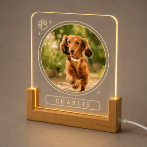 Custom Pet Photo LED Night Light with Name & Paw Accent - Personalized 3D LED Light Wooden Base 50a07491-90dd-47c9-8edf-1f04e14d15e1.jpg
