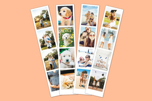 Personalised Photo Film Strip Print – Custom Retro Style Bookmark Keepsake 50e9279f-b806-454d-82f9-2241b5c682e8-il_fullxfull.8503685257_f9s7.jpg