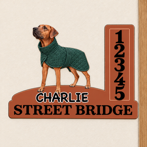 Property Of The Dog Photo - Personalized Freeform Shape Metal Sign, Out Door Decor 51ee1482-eb4e-4216-9e82-5467d4f4e07a-Bi-n-s-nh-ch-n-u-tr-n-t-ng.png