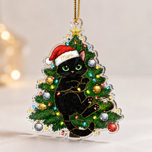 Custom Pet Portrait Christmas Lights Acrylic Ornament - Personalized Transparent Acrylic Ornament 527f1caa-1860-466f-9055-e1e7eb1442dd.jpg