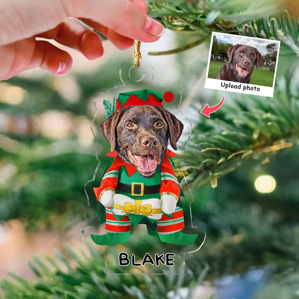 Photo Ornament - Dog Lover Gifts - Christmas Gifts - Dog Custom Christmas 2025 - Custom Ornament from Photo - Personalized Photo Custom Shape Ornament
