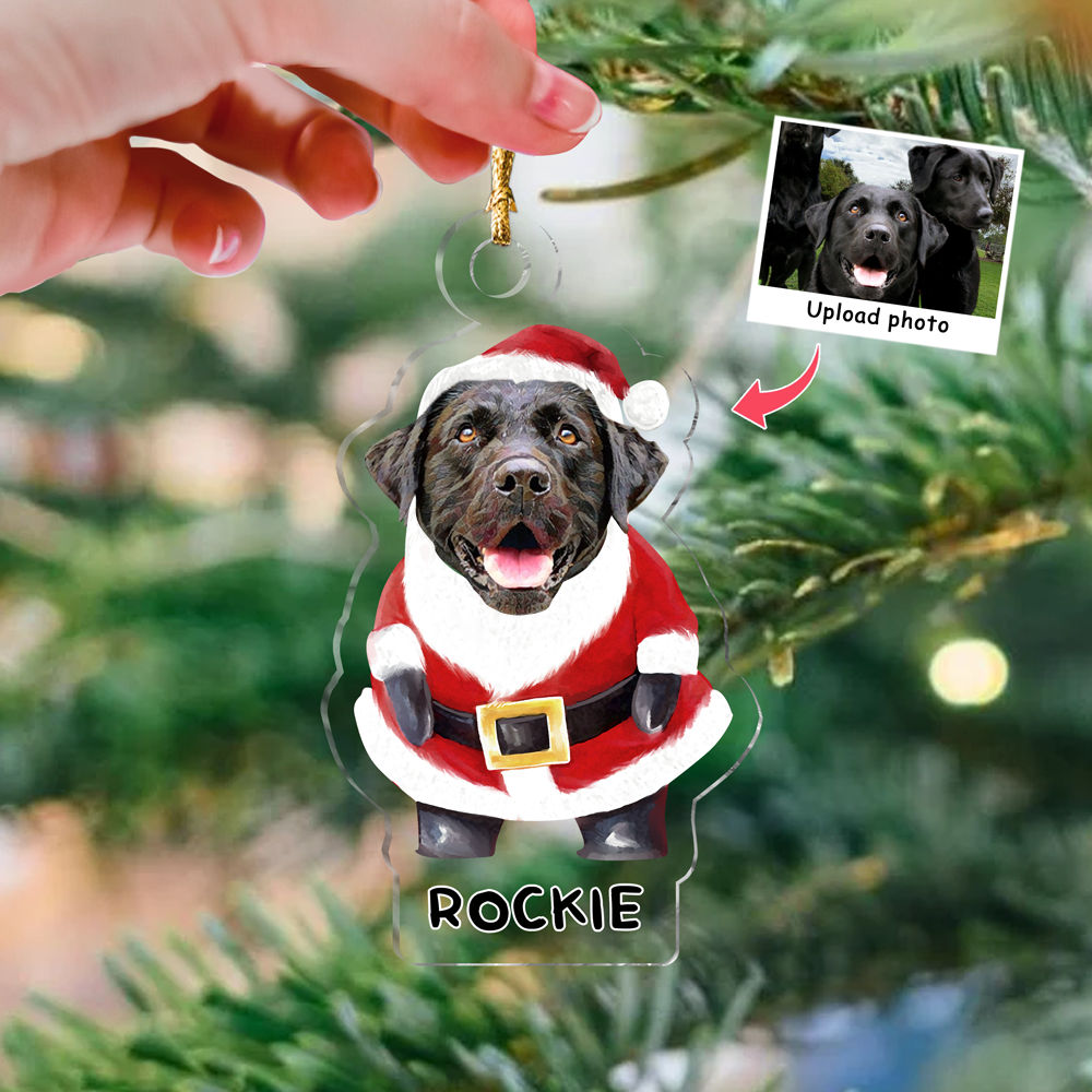 Photo Ornament - Dog Lover Gifts - Christmas Gifts - Dog Custom Christmas 2025 - Custom Ornament from Photo - Personalized Photo Custom Shape Ornament