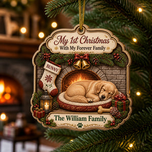 My 1st Christmas With My Forever Family — Custom Pet Portrait & Family Name 3‑Layer Wood Ornament - Personalized 3-Layered Wood Ornament 52a0653e-a0ff-479b-9fef-6c2a455aa12b.jpg