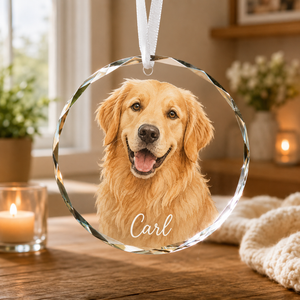 Personalised Cat Photo Christmas Baubles, Custom Watercolour Cat's First Christmas Keepsake, Photo Pet Portrait Gift for Pet Lovers 5483eaa8-b7ed-4350-a630-4881f636f2cd-fb299f6d-9154-4108-80f3-9e8d7b971e2e.png