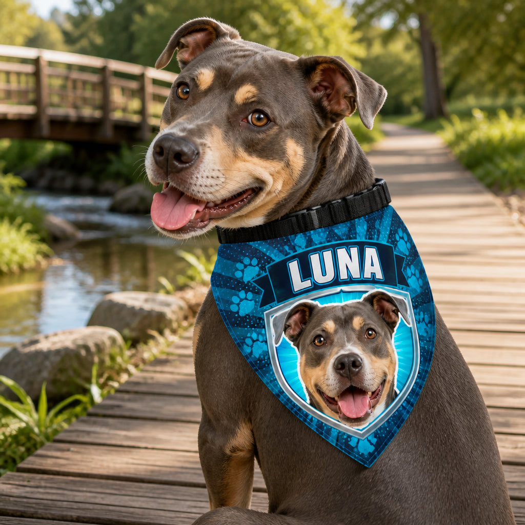 Custom Pet Photo Bandana with Name – Electric Burst - Personalized Pet Bandana Collar With Adjustable Buckle 5583f96f-5023-48ac-a6b2-0287d1959010.jpg