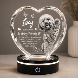 Custom Pet Memorial Acrylic Night Light – Photo, Name & Years - Personalized Acrylic Night Light 5644b46d-6752-4113-b3fd-b0e58b67c6f5.jpg