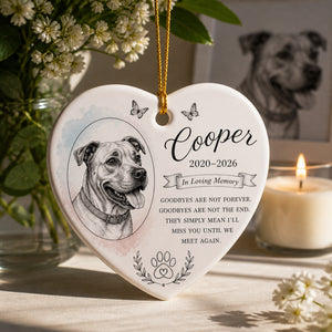 In Loving Memory Pet Heart Ornament with Name & Years - Personalized Ornament 5735a69f-42bc-4b5d-80d3-511e6502fbc8.jpg