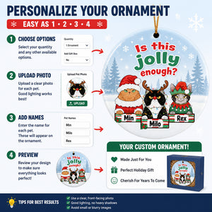 Is This Jolly Enough? Custom Pet Portrait Ornament (3 Pets) - Personalized Ornament 5867acb3-cfe0-4b5a-a831-aa9dada750b8.jpg