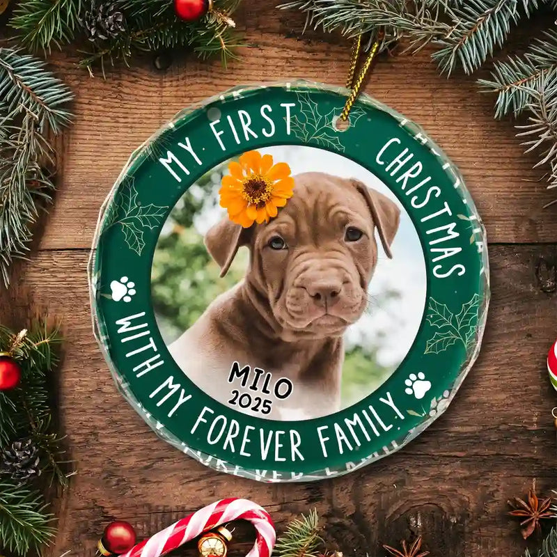 First Christmas With Family - Personalized Crystal Ornament - Gift For Pet Lovers