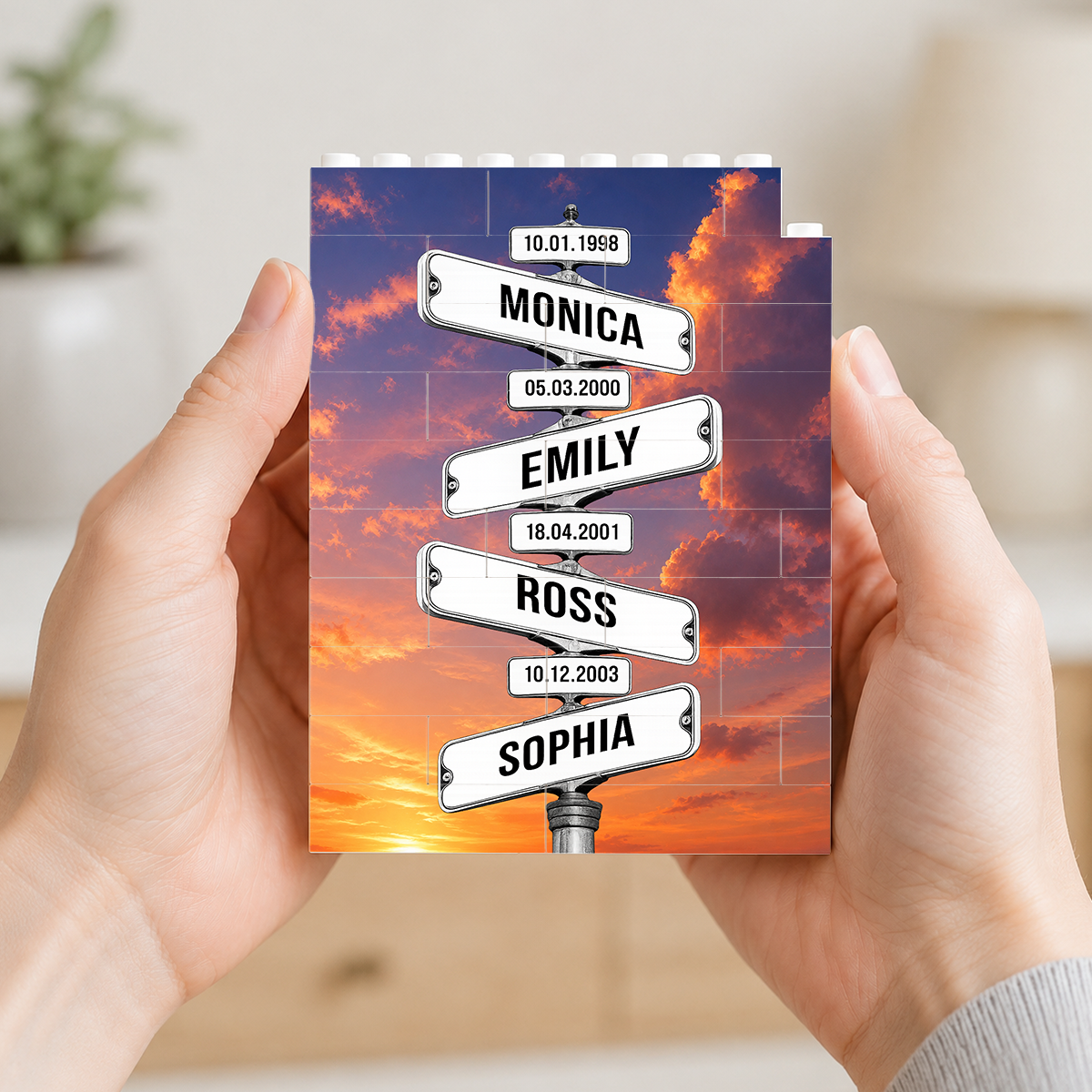 Personalized Family Names Date of Birth Vintage Street Sign - Personalized Shaped Building Brick Blocks