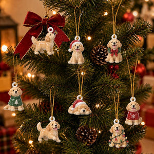 Personalized Golden Retriever Advent Calendar, 24 Acrylic Charms, Christmas Countdown Gift for Dog Lovers 5a6f52a0-0087-407d-85d1-9457d558b2a3-il_1140xN.8496681676_l1tz.jpg