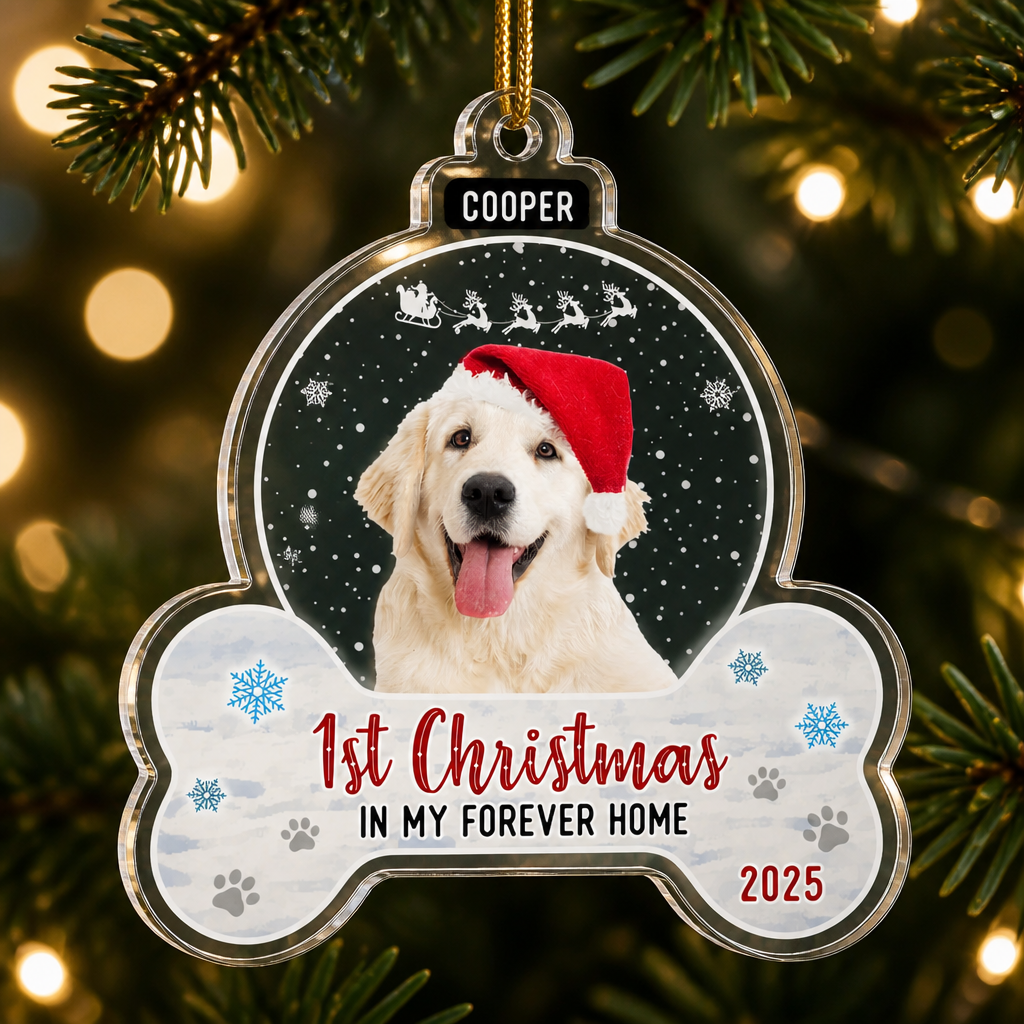 Pet Photo Acrylic Ornament — 1st Christmas In My Forever Home (Name + Year) - Personalized Transparent Acrylic Ornament 5c48969f-e6fb-43d1-8814-56950da483b5.png