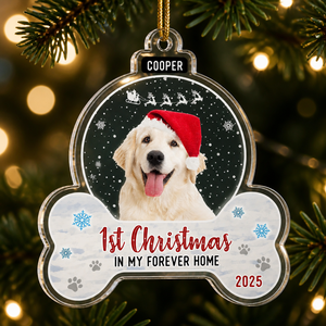 Pet Photo Acrylic Ornament — 1st Christmas In My Forever Home (Name + Year) - Personalized Transparent Acrylic Ornament 5c48969f-e6fb-43d1-8814-56950da483b5.png