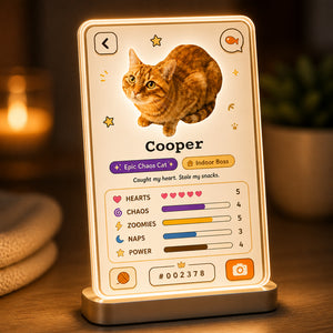 Custom Pet Stat Card Acrylic Night Light - Personalized Acrylic Night Light 5d6fc1ce-34f3-4187-b192-e7f0235007b6.jpg