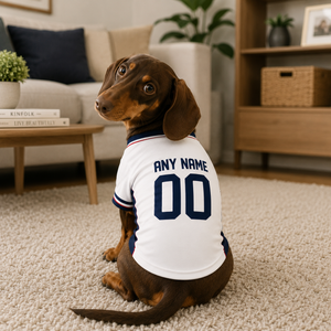 England Dog Tshirt 2026 World Cup Pet Clothes Jersey Style Custom Name and Number Pet Clothes Gifts