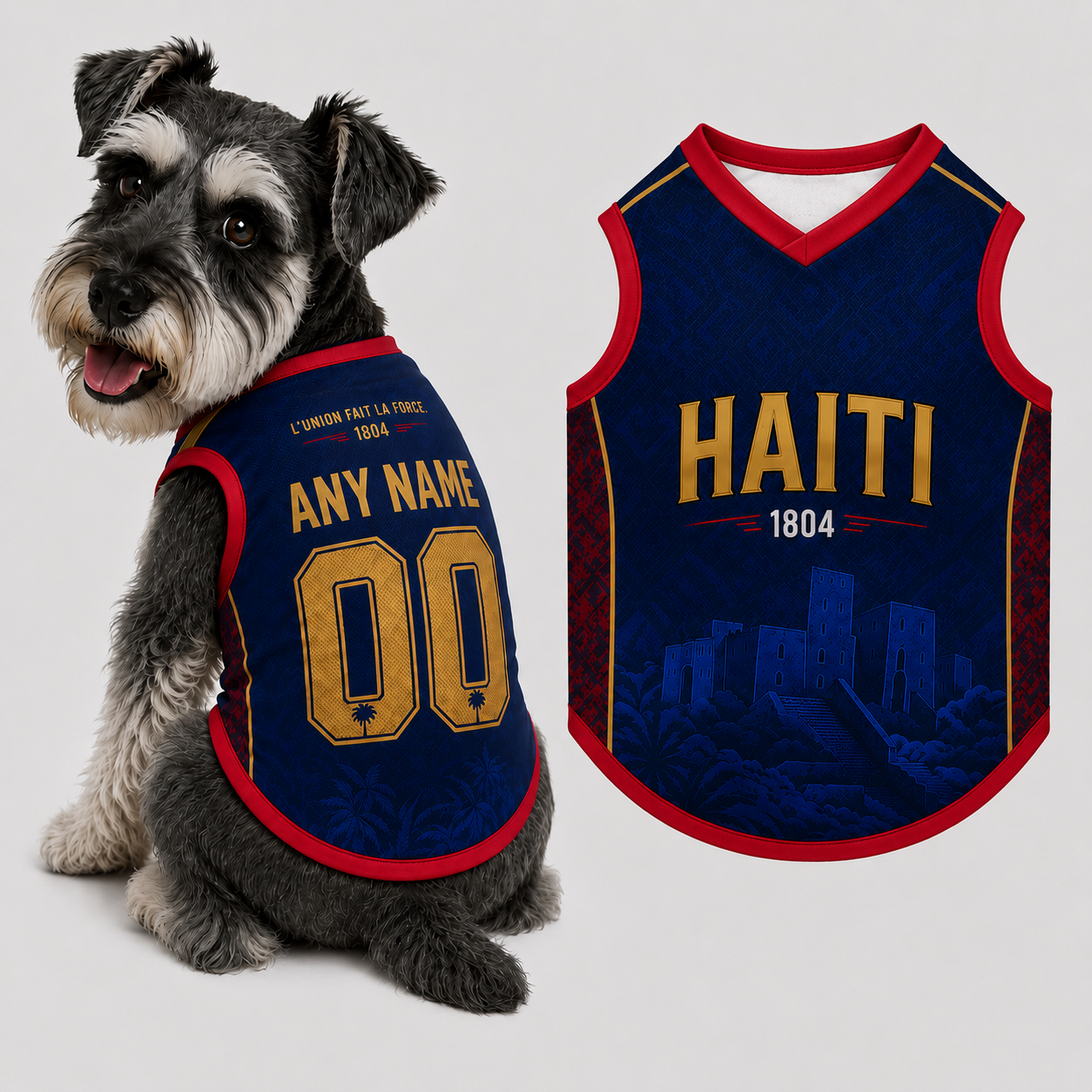 Custom Haiti Pet Jersey, Personalized Soccer Jersey, Haiti Pet Jersey, Pet Gift Jersey