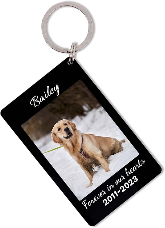 Personalized Pet Memorial Keychain, Custom Pet Keychain, Personalized Dog Cat Memorial Gift, Pet Lover Pet Loss Gifts