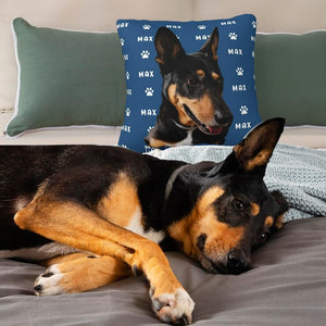 Custom Pet's Name And Photo Custom Pillow Case with Picture Names & Paw or Bone Icon Cat Dog Loss Gift Pet Photo Pillow Covers