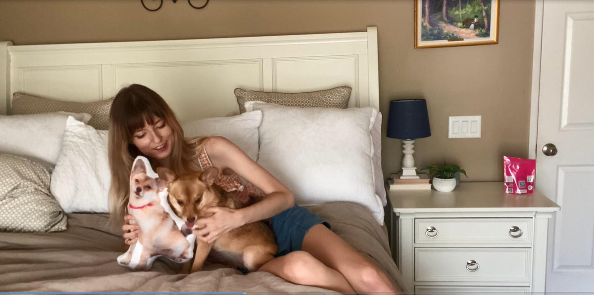 Dog Picture Pillow Custom Pet Pillow Dog Pillows Gift Custom 3D Pet Pillow from Photo | Personalized Dog/Cat Shaped Throw Pillow