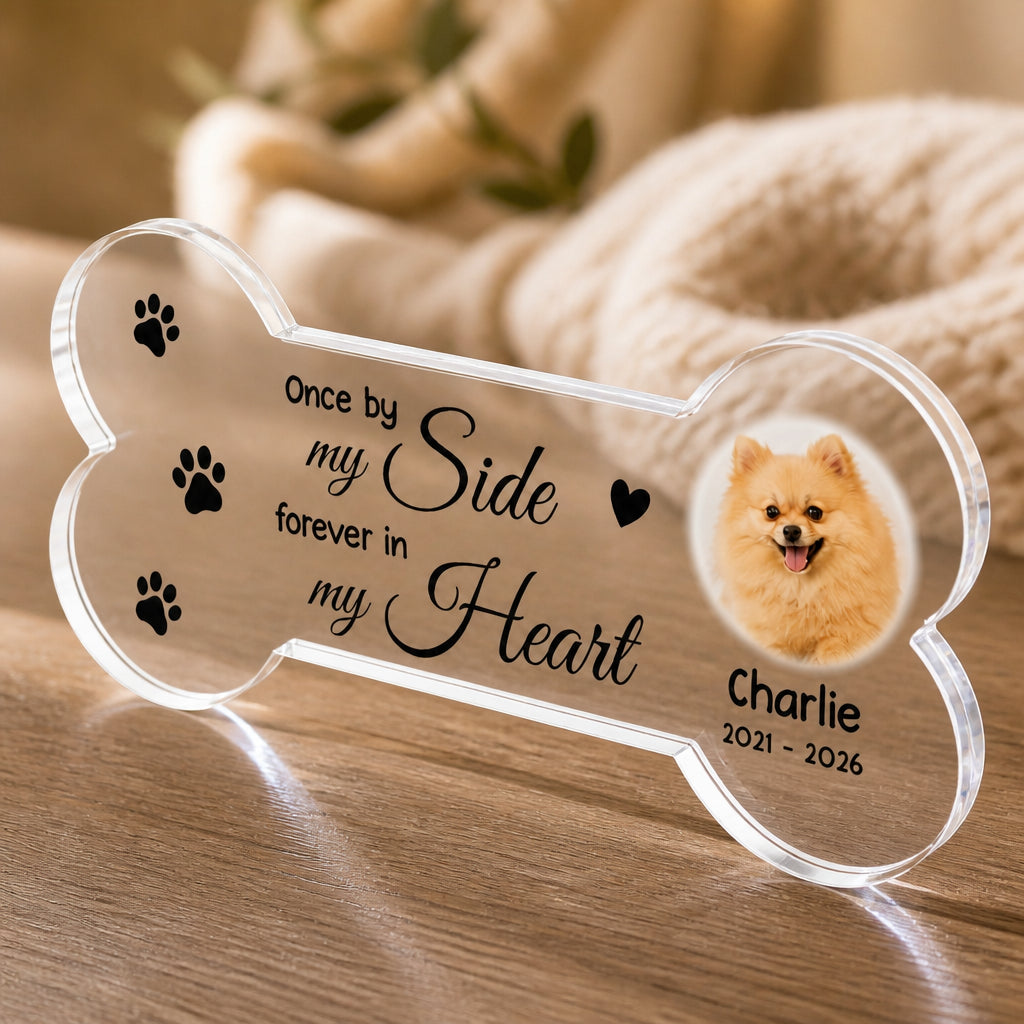 Pet Memorial Bone Acrylic Plaque – Once by My Side, Forever in My Heart (Photo + Name & Years) - Personalized Custom Shape Acrylic Plaque 627e889f-35b4-45ea-b05e-cf65c0aefaaa.jpg