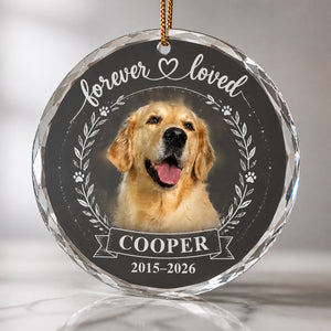 Forever Loved Pet Memorial Photo Crystal Ornament - Personalized Crystal Ornament 652d8d82-f035-4b03-8f0f-a82b84f32cde.jpg