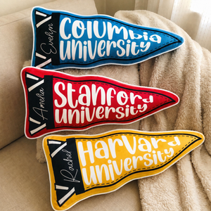 Custom Name Graduation Pillow, Custom School Spirit Pillow, High School Graduation Pillow Gift, University Graduation Gift