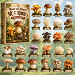 Woodland Harvest Mushrooms Advent Calendar 2026 - 24-Day Festive Countdown, Acrylic Charms Blind Box - Gift For Nature Lovers 670d7371-8f78-4200-a860-3cef2e694d0d-mushroom.jpg