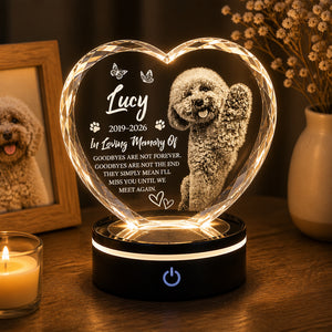 Custom Pet Memorial Acrylic Night Light – Photo, Name & Years - Personalized Acrylic Night Light 67b0d226-5ef4-4445-a447-378cc487d578.jpg