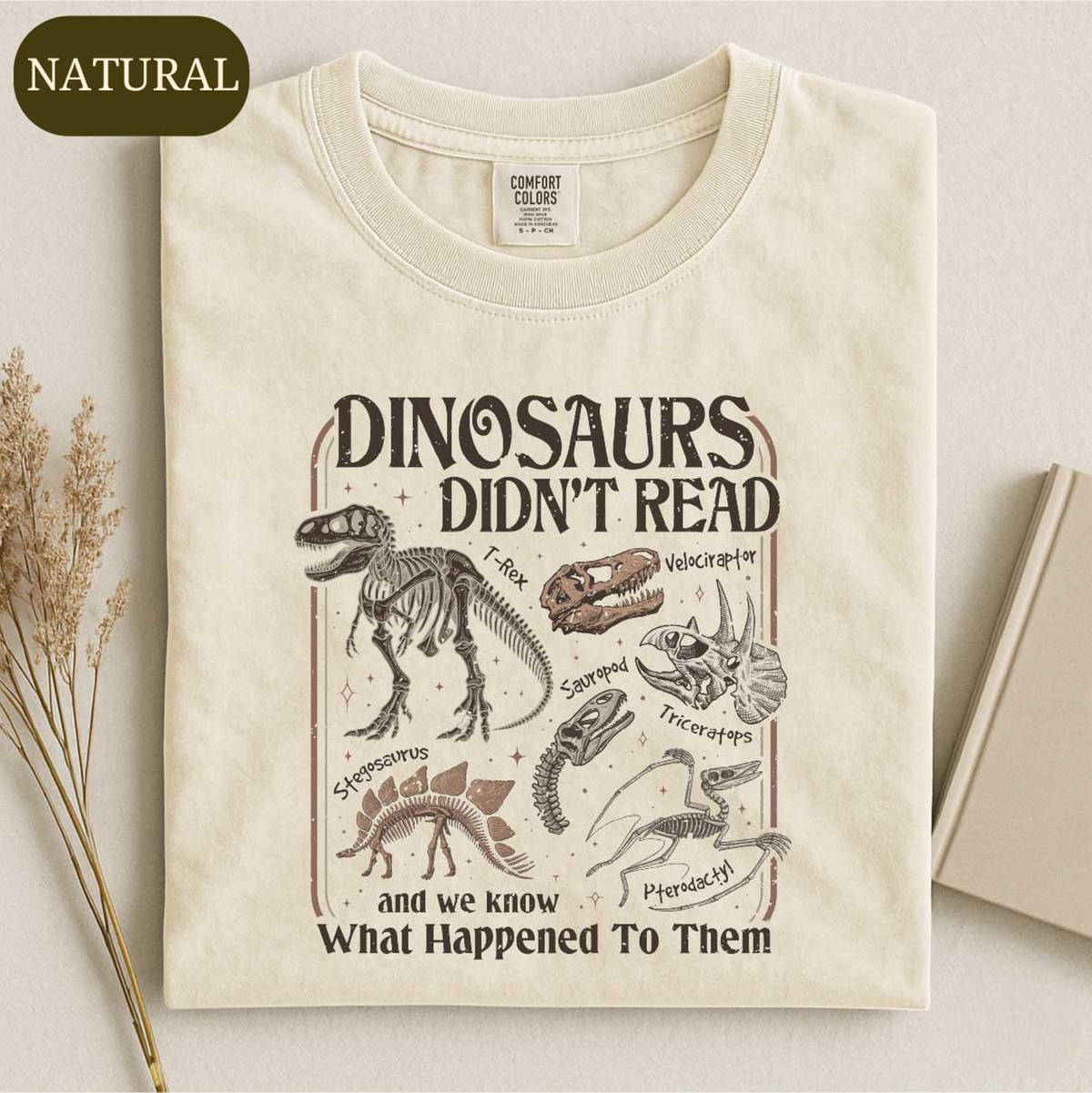 Dinosaurs Didn’t Read Shirt, Funny Dino Teacher Tee, Book Lover T-shirt, Librarian Literacy Sweatshirt, Dinosaurs Bookish Gift For Reader 67f5042c-9322-44ee-9f5a-07b12016a266-banner-1.png