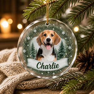 Winter Woodland Pet Photo Crystal Ornament - Personalized Crystal Ornament 681852fa-35bd-4045-8f27-53ec06a2b1b8.jpg