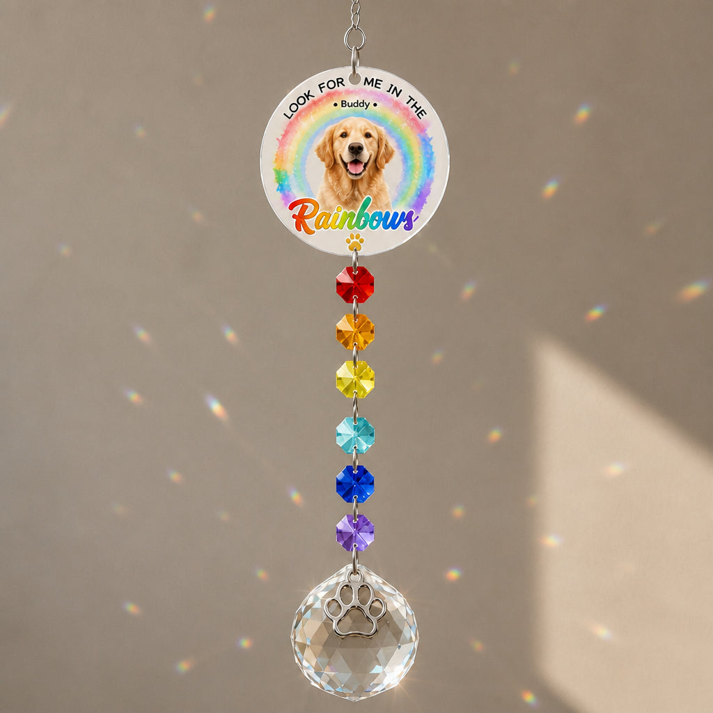Pet Memorial Rainbow Photo Suncatcher with Paw Charm - Personalized 1 Layered Suncatcher with Charm 68468231-79b8-48ac-8898-b151711e0f2d.jpg