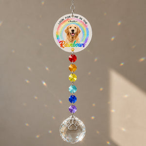 Pet Memorial Rainbow Photo Suncatcher with Paw Charm - Personalized 1 Layered Suncatcher with Charm 68468231-79b8-48ac-8898-b151711e0f2d.jpg