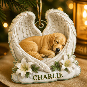 Angel Wings Pet Memorial Ornament — Photo Portrait + Name - Personalized Ornament 68ddc462-199f-48e1-91e0-7893de9bafca.jpg