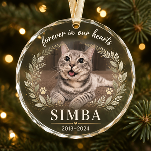 Pet Memorial Photo Ornament - Forever In Our Hearts - Personalized Crystal Ornament 68fef518-5428-43a1-944e-6279a32ee739.png