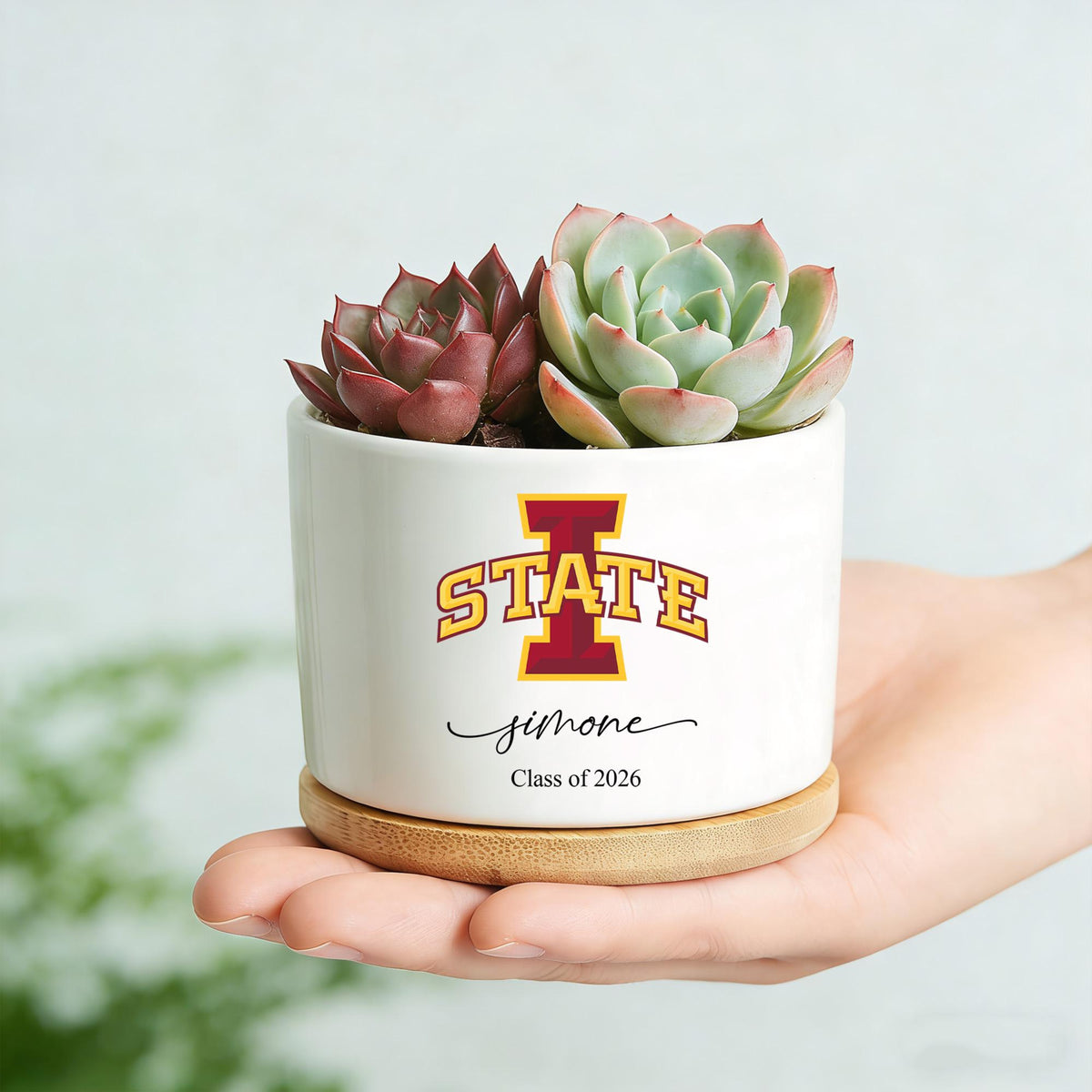 Personalized College Logo Plant Pot, University Pride Ceramic Pot, Custom 2026 Graduation Gifts, Class of 2026, College High School Grad Gifts