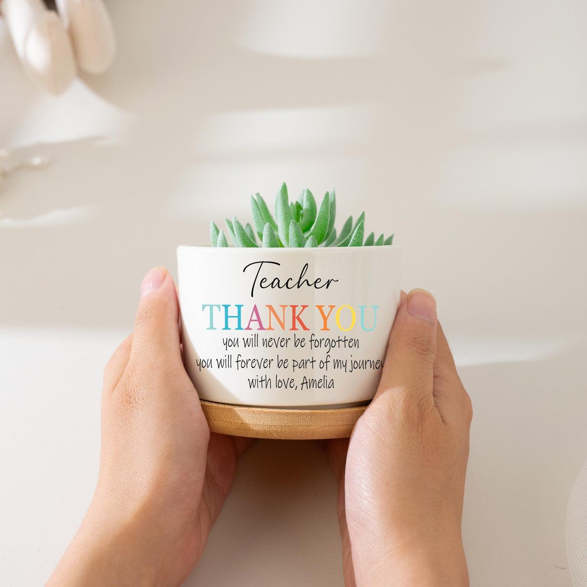 Custom Teacher Plant Pot, Teacher Appreciation Gifts, Thank You Gift For Teacher, Succulent Planter, Teacher Gift, Back to School Gift