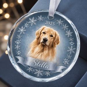 Custom Pet Photo Crystal Ornament with Name & Year - Personalized Crystal Ornament 6ab18a98-1b33-484d-a433-d0b7f9878f1c.jpg
