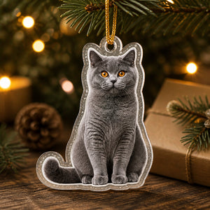 Custom Pet Photo Cutout Acrylic Ornament - Personalized Custom Shape Wood and Acrylic Ornament 6ba15686-e84a-4d19-9f1d-c91730396531.jpg