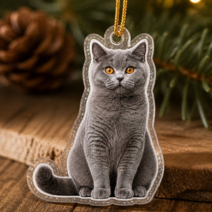 Custom Pet Photo Cutout Acrylic Ornament - Personalized Custom Shape Wood and Acrylic Ornament 6c6fd189-73b7-42d0-ae8d-be7dc78bf237.jpg