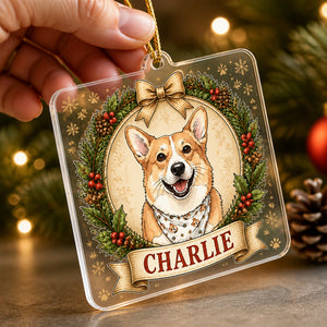 Custom Pet Photo to Illustration Name Ornament - Personalized Transparent Acrylic Ornament 6ca09eeb-0c69-4282-95a3-823355a0c4bb.jpg