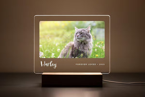 Personalized Pet Memorial LED Night Light — Custom Dog or Cat Photo Sympathy Gift 6dd5cd7b-6695-4d65-8c60-ae2325328af9-fssfsffs-1-.jpg