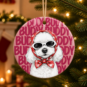 Custom Pet Portrait Name Ornament – Retro Snowflake Banner - Personalized Ornament 6f3da0e0-92c8-4169-b695-4c57e7fa4f75.png